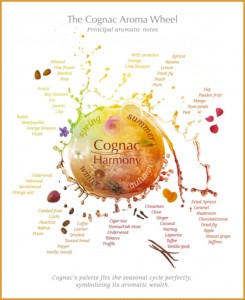 Aroma descriptions