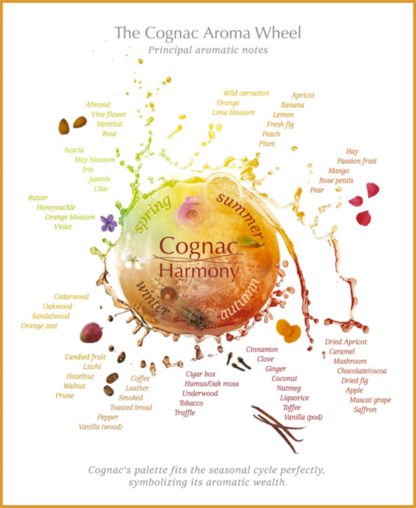 The Cognac Taste Wheel