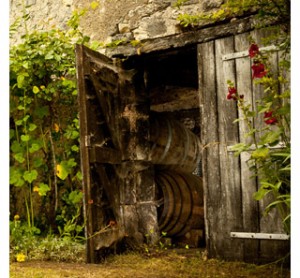 Cognac cellars