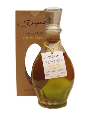 Dupont Pomme Captive Pays d'Auge Calvados