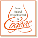 BNIC logo