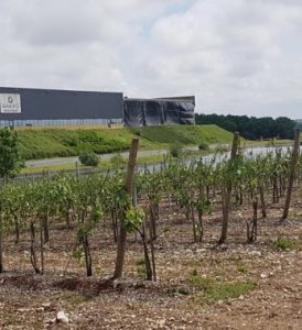 storm damage in the Cognac Region