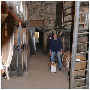 Cellar masters