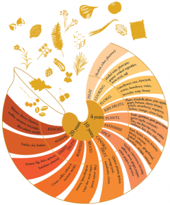 Armagnac aromas